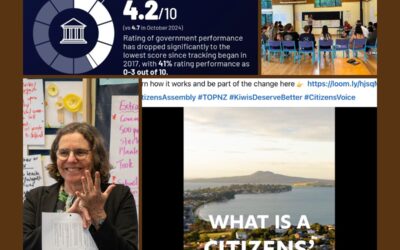 Expert facilitation is a key to participatory democracy